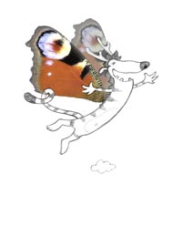 fröhlich